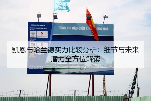 凯恩与哈兰德实力比较分析：细节与未来潜力全方位解读