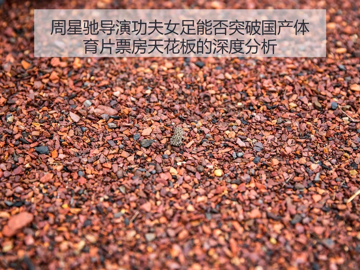 周星驰导演功夫女足能否突破国产体育片票房天花板的深度分析