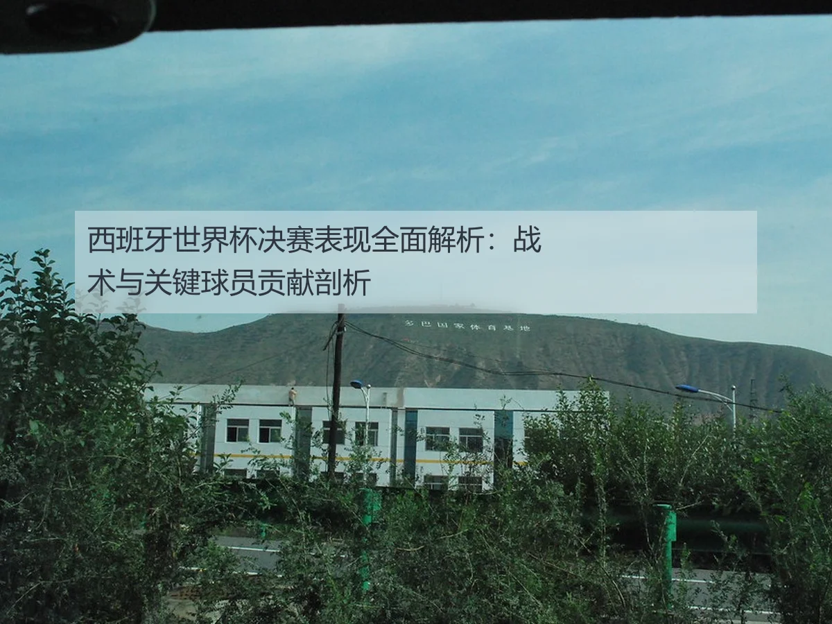 西班牙世界杯决赛表现全面解析:战术与关键球员贡献剖析